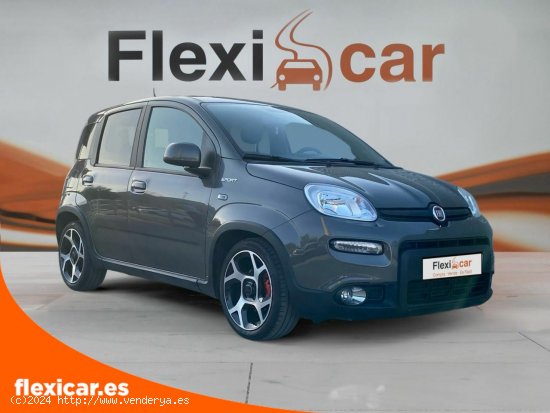 Fiat Panda Sport Hybrid 1.0 Gse 51kw (70CV) - Xátiva