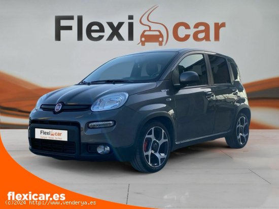 Fiat Panda Sport Hybrid 1.0 Gse 51kw (70CV) - Xátiva