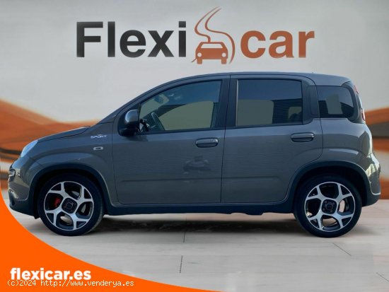 Fiat Panda Sport Hybrid 1.0 Gse 51kw (70CV) - Xátiva