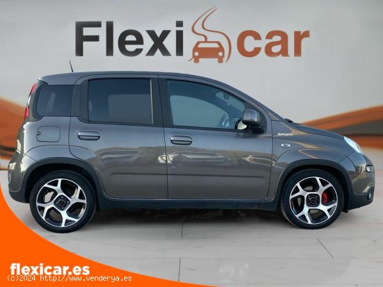 Fiat Panda Sport Hybrid 1.0 Gse 51kw (70CV) - Xátiva