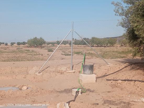 Terreno vallado con agua de regadío - MURCIA