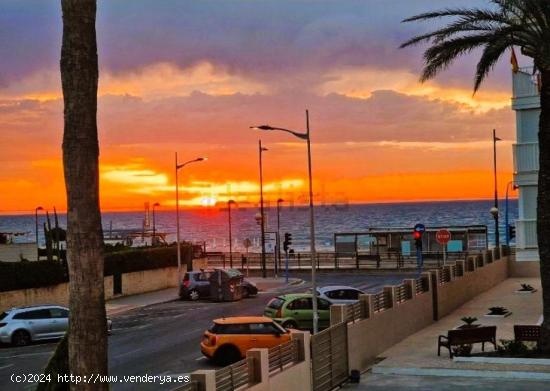 Playa Muchavista, alquiler, VISTAS AL MAR - ALICANTE