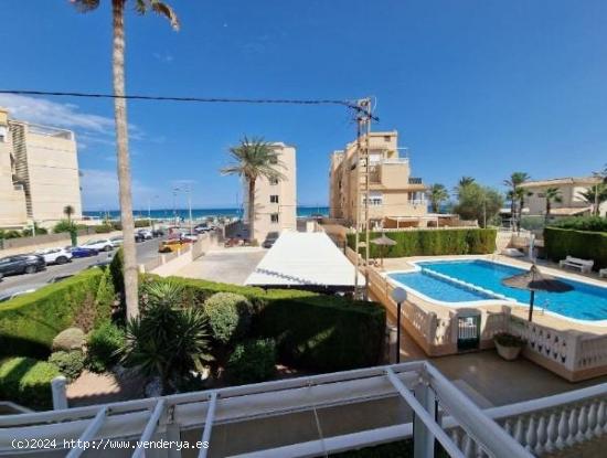 Playa Muchavista, alquiler, VISTAS AL MAR - ALICANTE