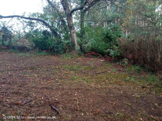 PARCELA DE 2000 m2 EN OLEIROS - A CORUÑA