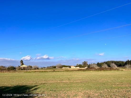  Finca rústica en Alcudia - BALEARES 