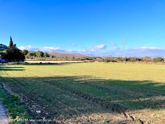 Finca rústica en Alcudia - BALEARES