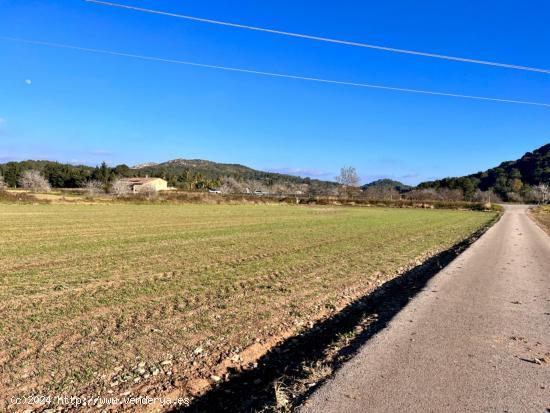 Finca rústica en Alcudia - BALEARES