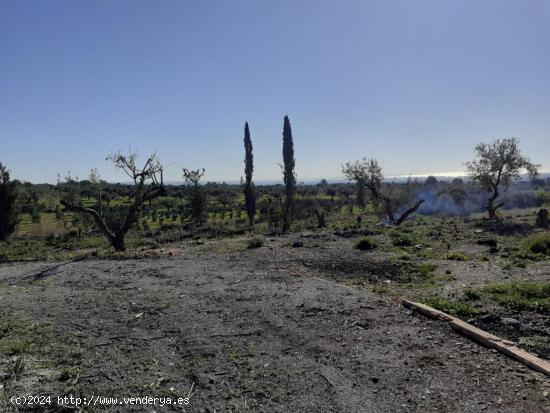  TERRENO CON PROYECTO EN CASTELLVELL DEL CAMP - TARRAGONA 