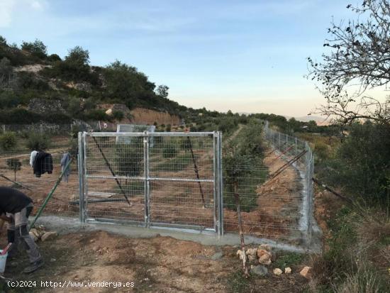 Terreno Agrario - TARRAGONA