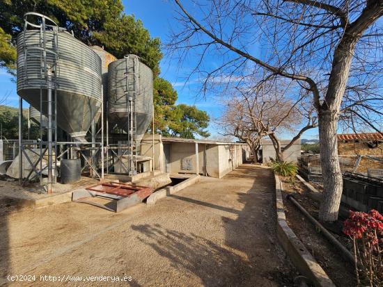 FINCA RÚSTICA - TARRAGONA