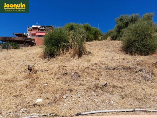 TERRENO URBANO EN LOS ENCINARES DE ALCOLEA. - CORDOBA