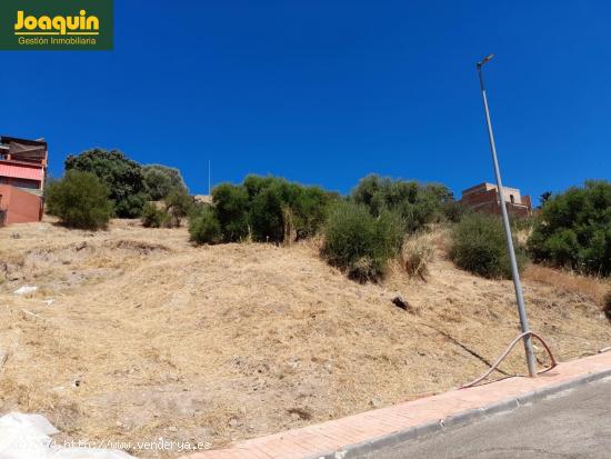 TERRENO URBANO EN LOS ENCINARES DE ALCOLEA. - CORDOBA