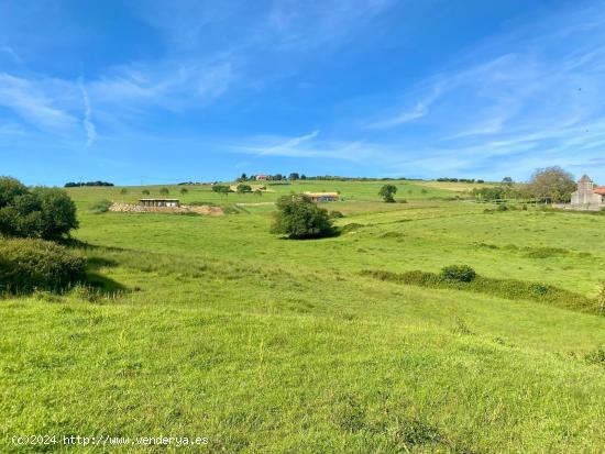 FINCA EDIFICABLE EN ONGAYO (SUANCES) - CANTABRIA