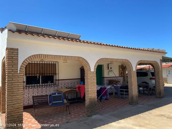  ZONA CAMINO VIEJO DE ALMODOVAR - Parcela de 1.500m² CON 2 CASAS - CORDOBA 