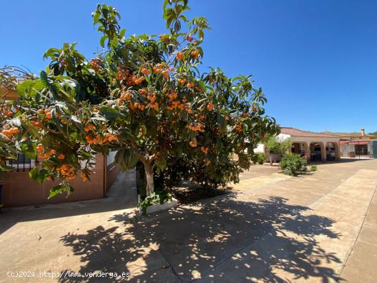 ZONA CAMINO VIEJO DE ALMODOVAR - Parcela de 1.500m² CON 2 CASAS - CORDOBA