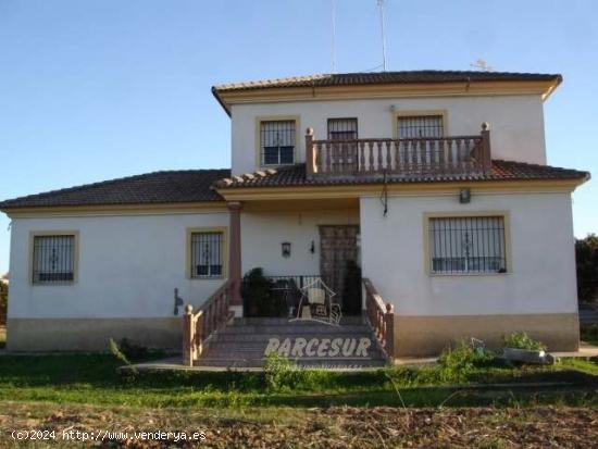  PACELA CON CASA CERCA DE ENCINAREJO, (PISCINA Y COCINA CAMPERA EN CONSTRUCCION) - CORDOBA 