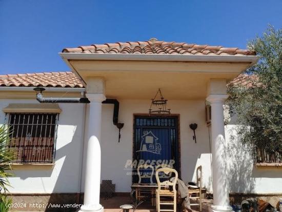 ZONA HIGUERON -  2 CASAS y PISCINA en una Parcela de 1.500 m2 - CORDOBA