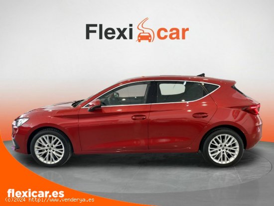 Seat Leon 2.0 TDI 110kW DSG-7 S&S Xcellence - Orihuela