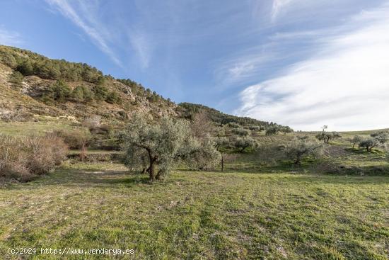  Finca rústica en Monachil - GRANADA 