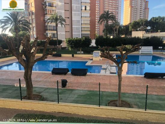 Apartamento Reformado en urbanización completa a un paso de playa poniente y centro de Benidorm!! -