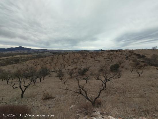 Casa de campo con terreno cerca de Puerto Lumbreras - MURCIA