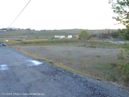 Venta de finca rustica en Cartama de 2500 metros, con agua y punto de luz cercano - MALAGA