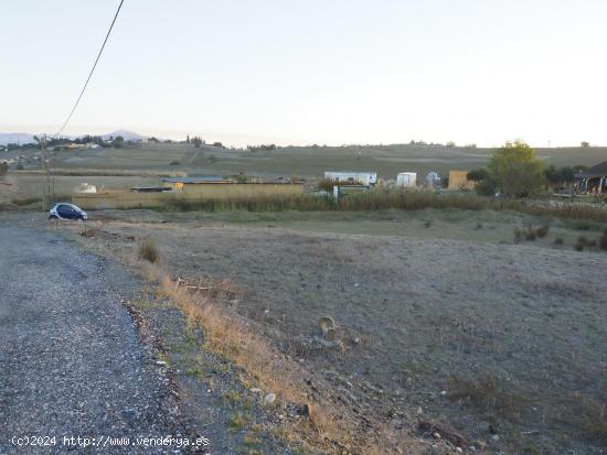 Venta de finca rustica en Cartama de 2500 metros, con agua y punto de luz cercano - MALAGA