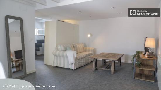 apartamento de 1 dormitorio en alquiler en Salamanca, Madrid - MADRID