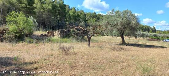 Finca de cereal con caseta - TARRAGONA