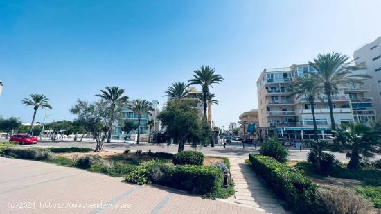 SOLAR PARA VIVIENDAS AL LADO DEL MAR - BALEARES