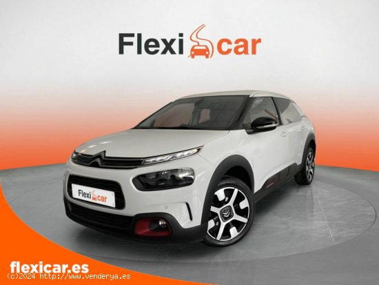 Citroën C4 Cactus BlueHDi 100 S&S Feel - Orihuela