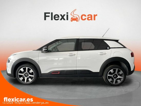 Citroën C4 Cactus BlueHDi 100 S&S Feel - Orihuela