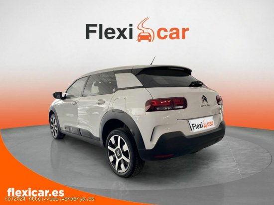 Citroën C4 Cactus BlueHDi 100 S&S Feel - Orihuela