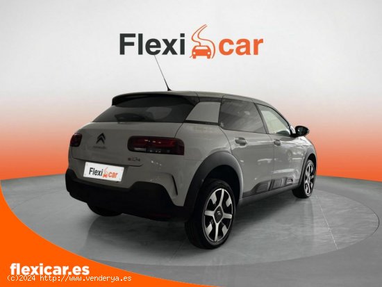 Citroën C4 Cactus BlueHDi 100 S&S Feel - Orihuela