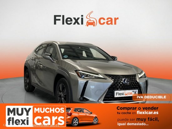 Lexus UX 2.0 250h Business Navigation - Toledo