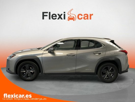 Lexus UX 2.0 250h Business Navigation - Toledo