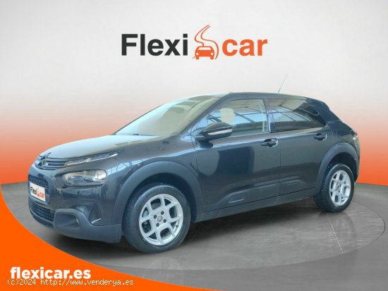 Citroën C4 Cactus BlueHDi 73KW (100CV) Business - Badajoz