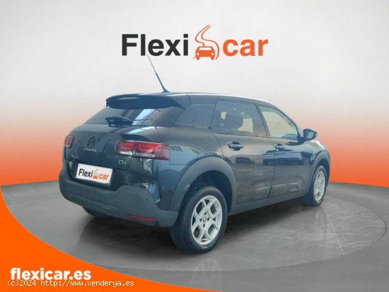 Citroën C4 Cactus BlueHDi 73KW (100CV) Business - Badajoz