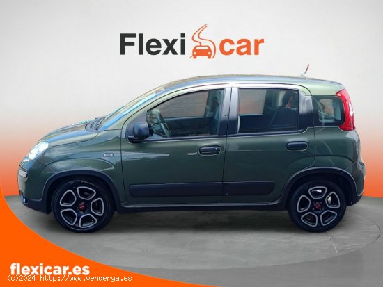 Fiat Panda City Life Hybrid 1.0 Gse 51kw (70CV) - La Laguna