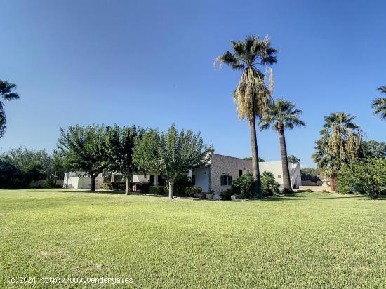 Finca rústica a la venta en Puerto de Alcudia - ALICANTE