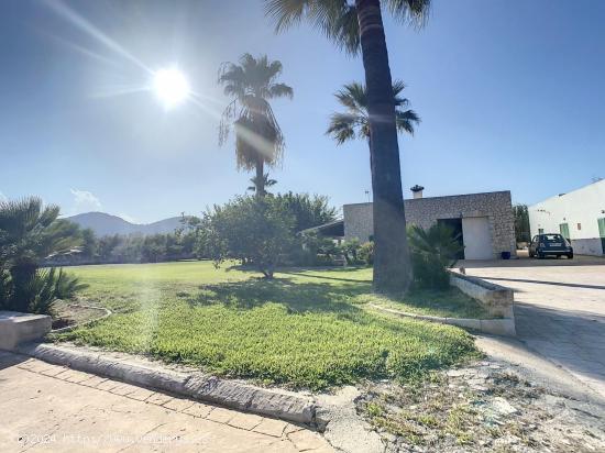 Finca rústica a la venta en Puerto de Alcudia - ALICANTE