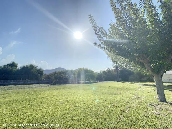 Finca rústica a la venta en Puerto de Alcudia - ALICANTE