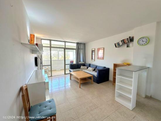 Apartamento céntrico en la ultima planta - LAS PALMAS