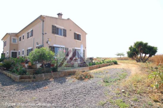 Finca en Campos con casa de 340m2 con posibilidad de construir otra con piscina - BALEARES