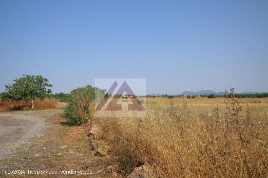 Finca en Campos con casa de 340m2 con posibilidad de construir otra con piscina - BALEARES