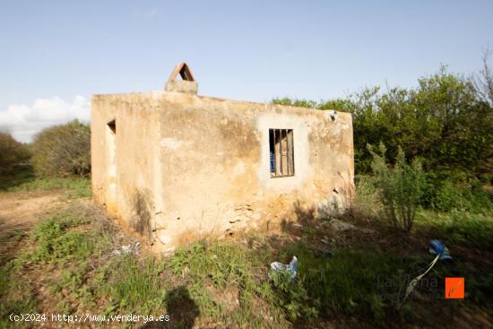 FINCA CON CASETA Y AGUA EN SANTA BARBARA (TARRAGONA) - TARRAGONA