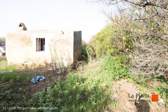 FINCA CON CASETA Y AGUA EN SANTA BARBARA (TARRAGONA) - TARRAGONA