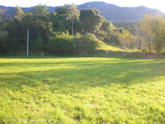 FINCA EDIFICABLE Y PARCELABLE EN TRES, CERCANA A RIBADESELLA - ASTURIAS