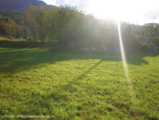 FINCA EDIFICABLE Y PARCELABLE EN TRES, CERCANA A RIBADESELLA - ASTURIAS