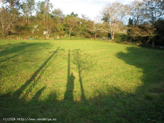 FINCA EDIFICABLE Y PARCELABLE EN TRES, CERCANA A RIBADESELLA - ASTURIAS